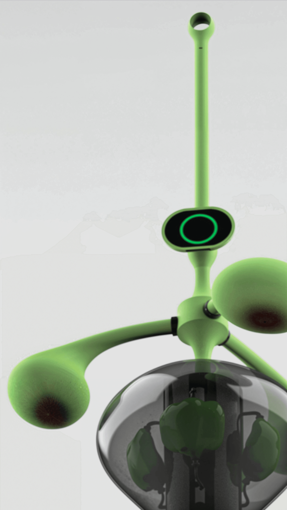 DeNile-Design-Photo
