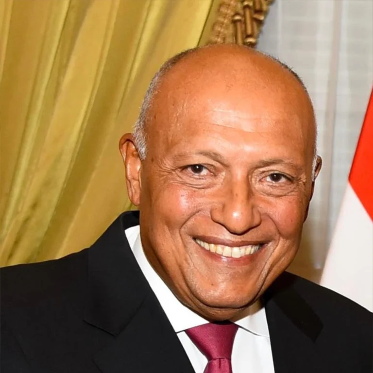 Ambassador Sameh Shoukry